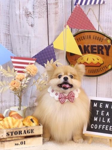 20240915梛都ちゃん